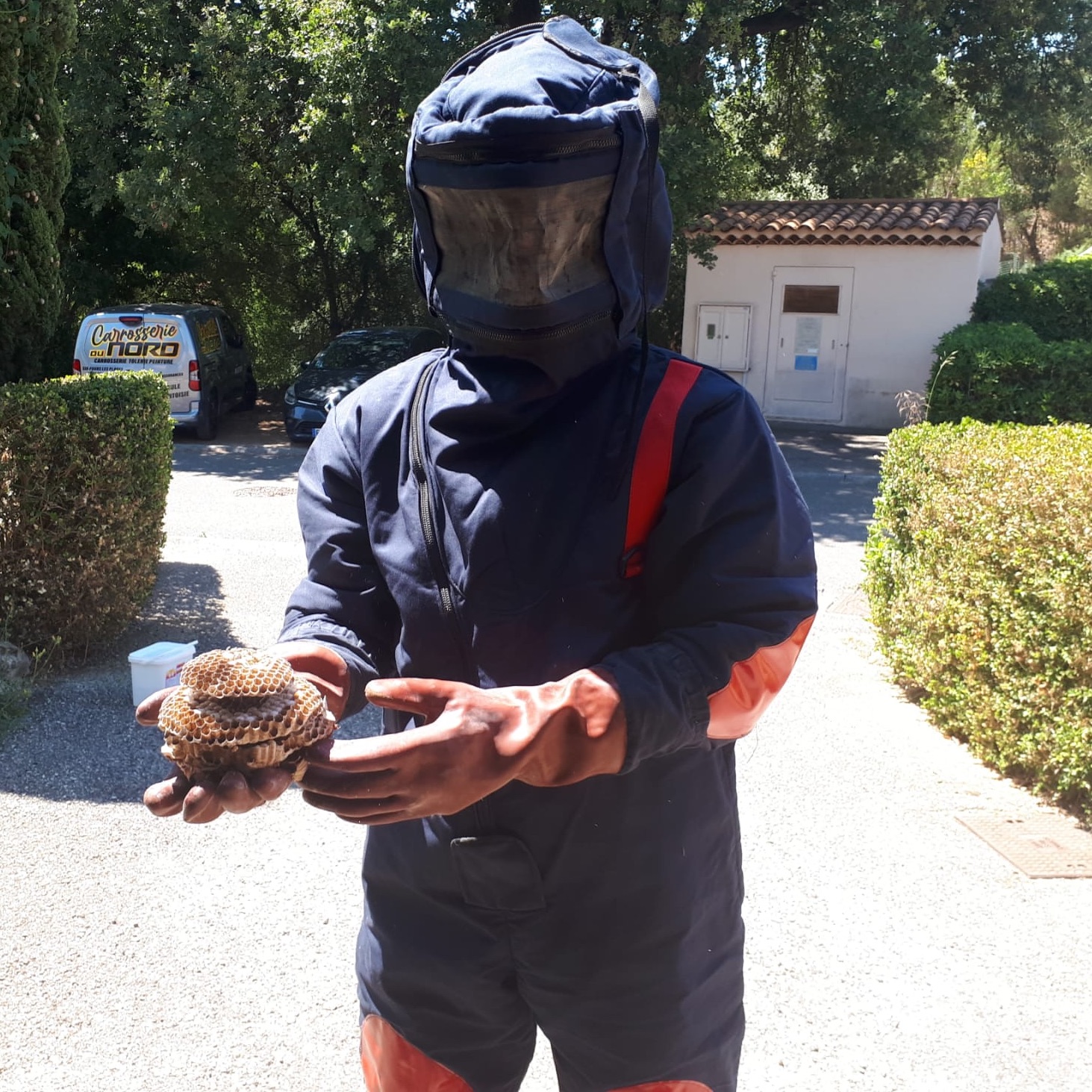 Image 21