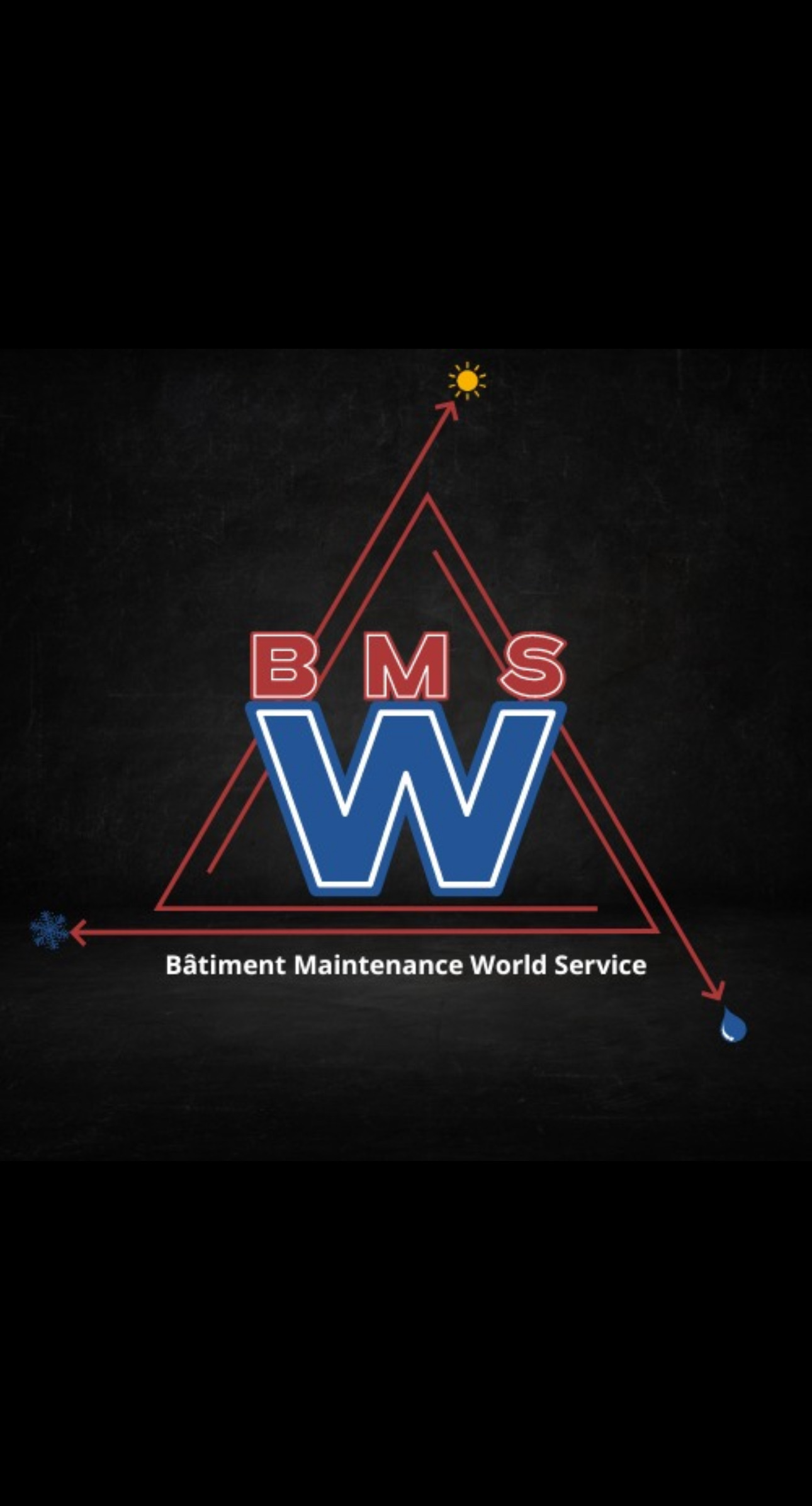 Logo BM WORLD SERVICES