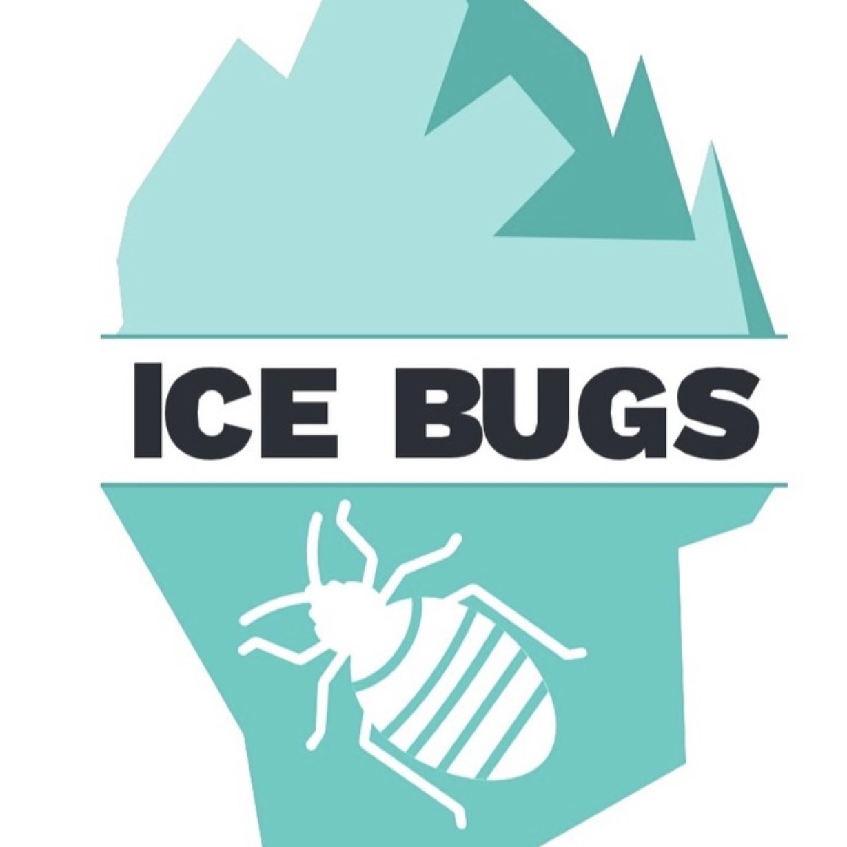 Logo Ice bugs 